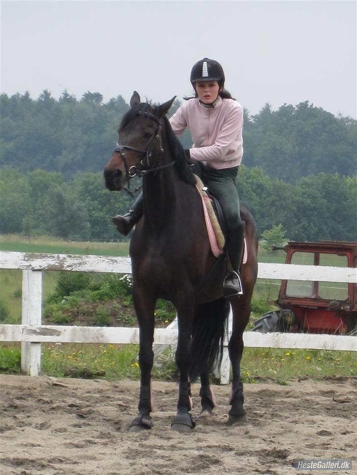 Traver anni caine   Solgt - Lidt koksede billede var ved at sætte mine stige bøjler op hehe billede 2