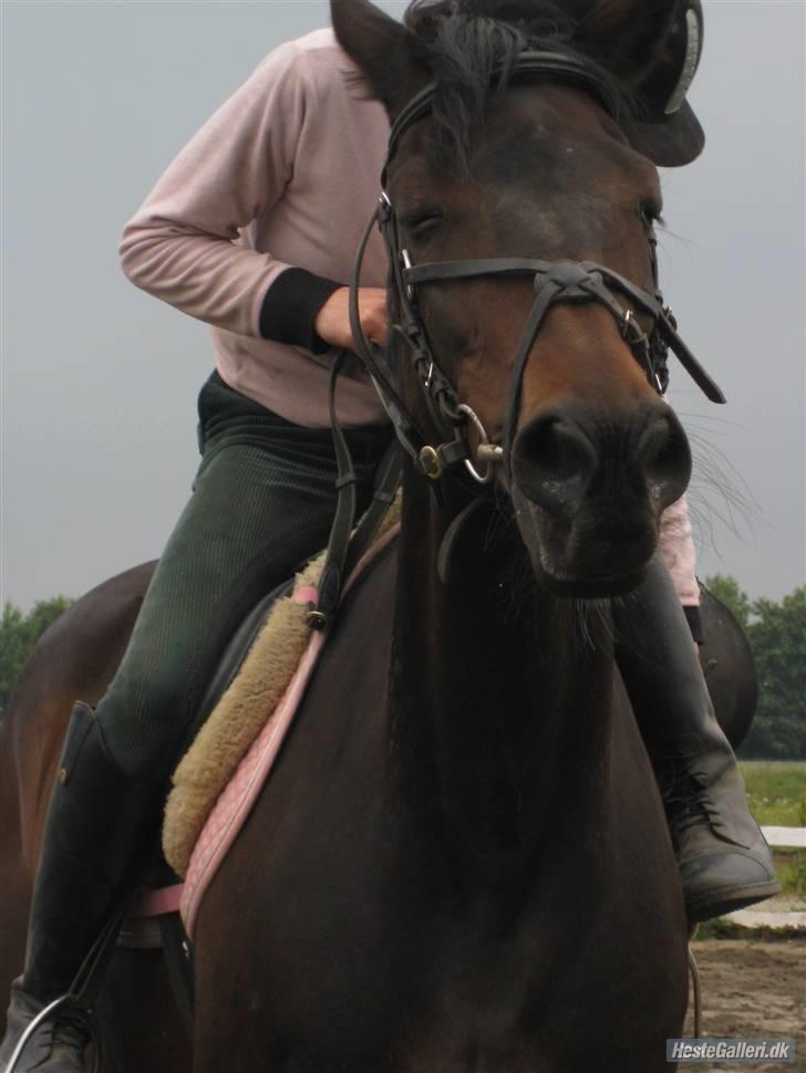 Traver anni caine   Solgt - Kan godt li det billede fordi hun lukker sine øjne:) billede 3