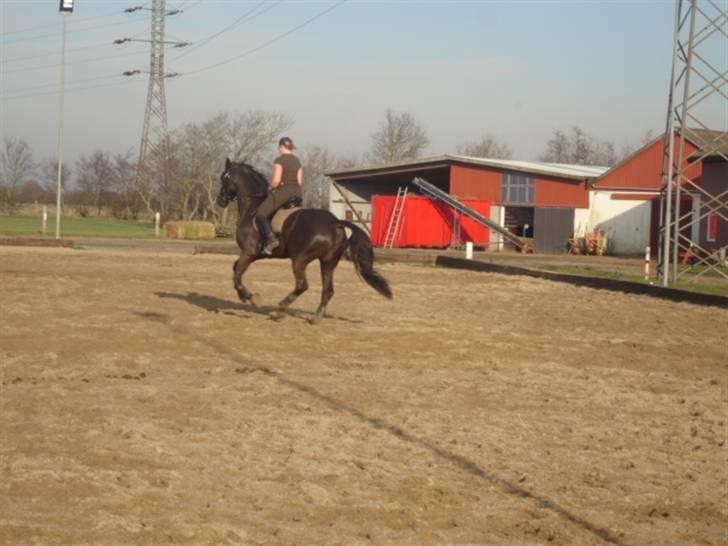 Oldenborg Tara af Kloster billede 2