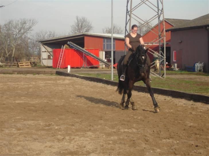 Oldenborg Tara af Kloster billede 6
