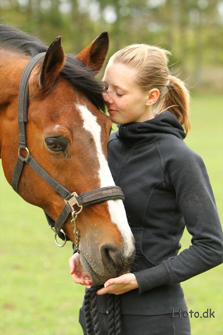 Fransk Halvblod Edimbourg D'aillon - sommer 2010 billede 10