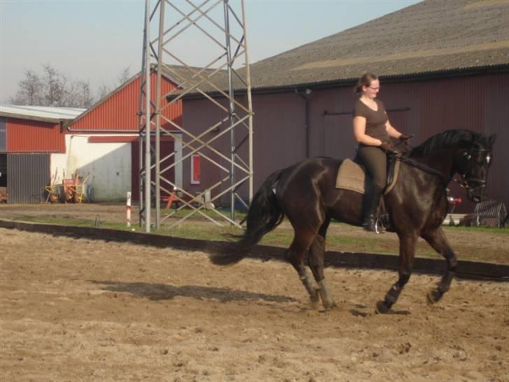 Oldenborg Tara af Kloster billede 8