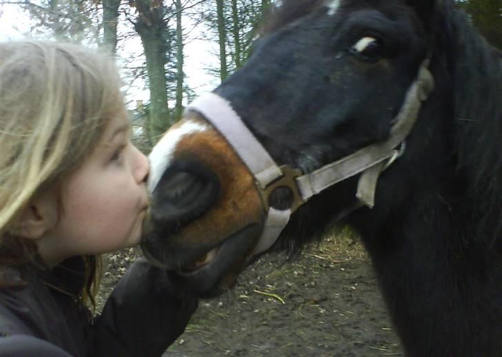 Anden særlig race Prins-SOLGT-2008 ! - kys kys.. billede 7