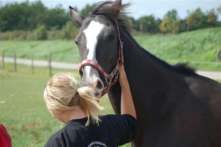 Anden særlig race Mandalay R.i.p miss you - jeg savner dig af hele mit hjerte. billede 8