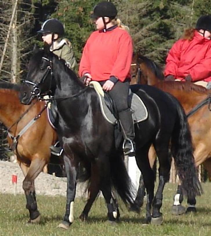Anden særlig race Miss Shakur - Jagt 2007 billede 5