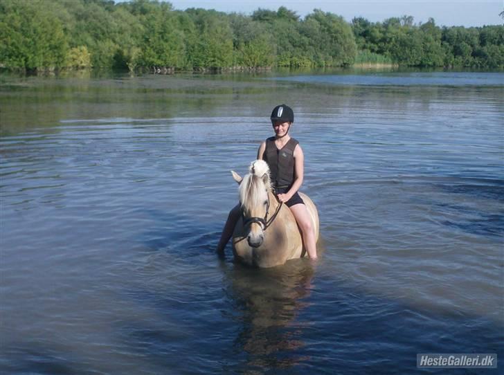 Fjordhest GasMads "solgt og savnet" - uhh hvor vi bliver våde..... tak til sannes mor for den flotte foto & tak til sanne og stine for en mega hyggelig dag dem må vi have flere af billede 4