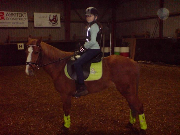 Anden særlig race Destiny *Gammel part* - Se os lige ? xD - Jeg mener, se Destiny, for jeg er ikke et kønt syn, mit hoved er helt sløret på billedet? xD billede 2