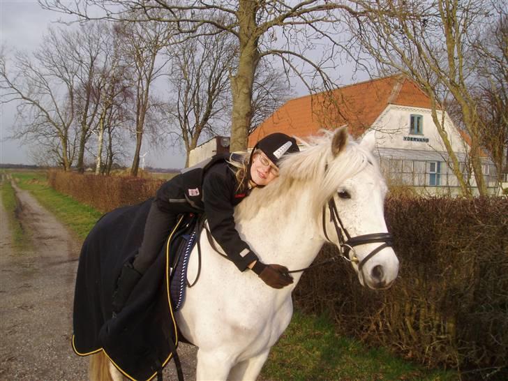 DSP Bæklunls Moloney - moloney på tur billede 1