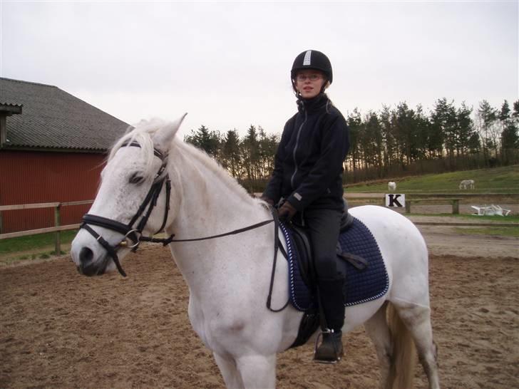 DSP Bæklunls Moloney - malene og moloney billede 4