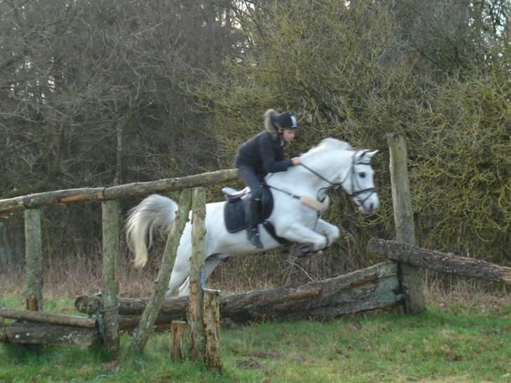 Tysk Sportspony Jonatan {AFLIVET} - ¤1¤  ich liebe dich<3  billede 1