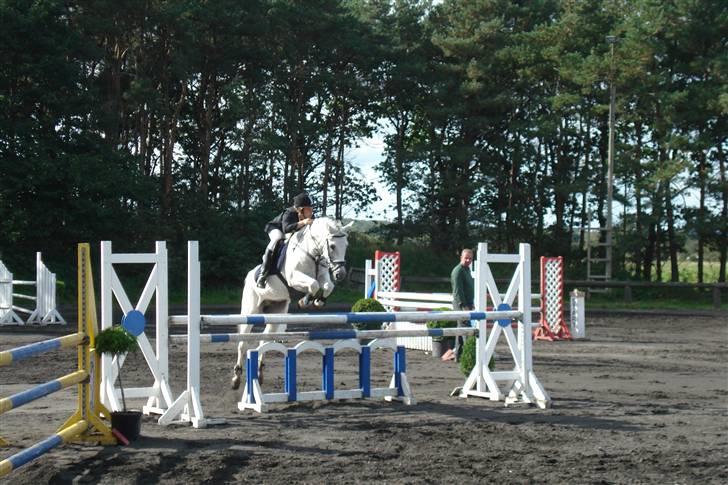 Tysk Sportspony Jonatan {AFLIVET} - ¤5¤ min anden MB(: han er så fin!:* foto: mor(: billede 5