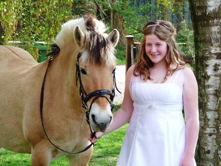 Fjordhest Zitta ~MIN BEDSTE VEN~ - 1# Velkommen til Frejas profil :) <3  ~~~ Foto: Jens Nikolajsen billede 1