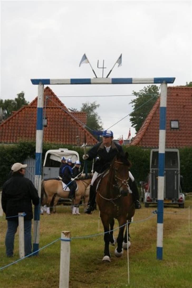 Anden særlig race Patrick  - Ringridning i bov 09. Fotograf: Kirsten Jørgensen billede 7