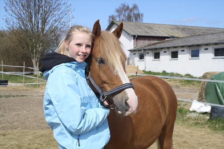 New Forest Natarone Skønager - Charmetrolden og katrine på folden  billede 9