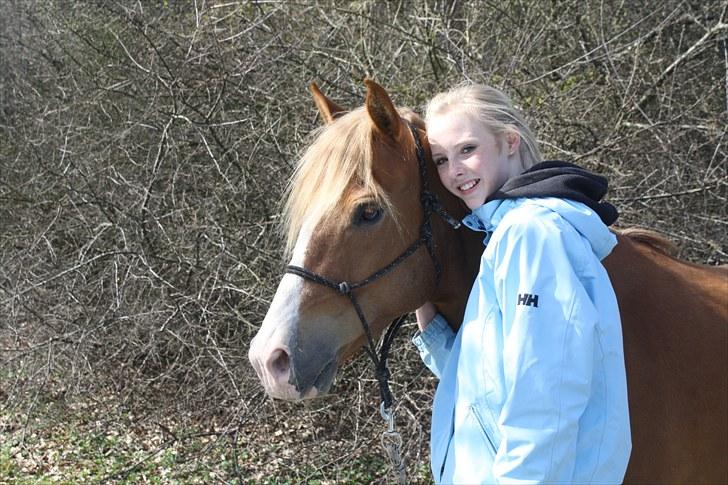 New Forest Natarone Skønager - smukke drengen og katrine billede 14