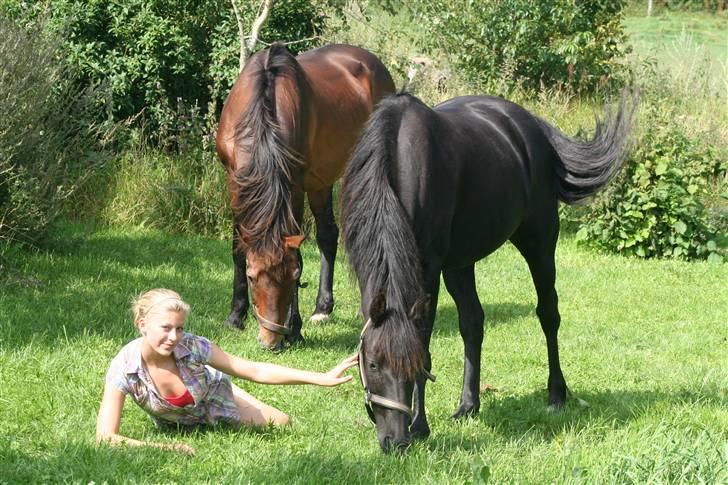 Anden særlig race Sherif - sommer dag med Sherif og Futte! billede 5