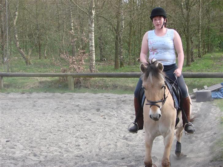 Fjordhest Felix - Undervisning 27.04.08 - skæve tøjler (fotograf Kia) billede 13