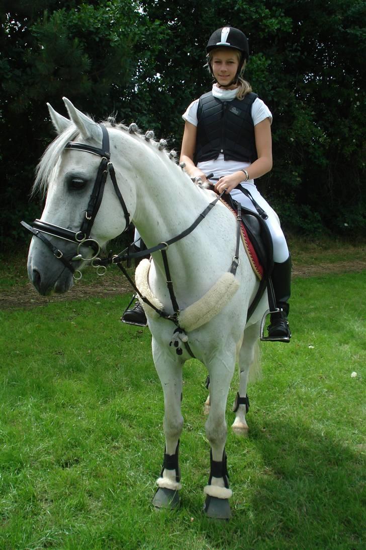 Tysk Sportspony Jonatan {AFLIVET} - ¤8¤  til stævne i stevenstrup 2008. foto: mor(: billede 8