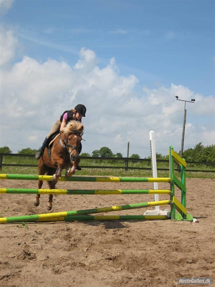 Anden særlig race Andrea <3 - Gl. Part :'/ - .. billede 17