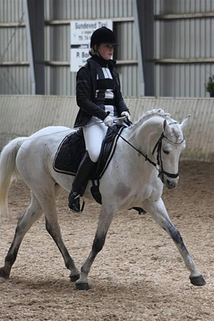 Connemara Maalings Mirabel B-PONY - Belle kan strække benene. :D Foto: Anne Krogh  billede 6