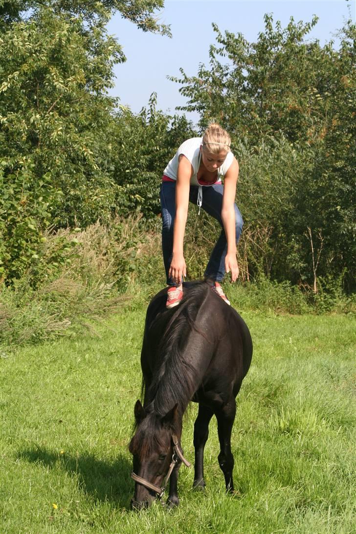 Anden særlig race Sherif - skulle da lige prøve at stå på dig, du var ligeglad, men så begyndte du at gå, og så faldt jeg, altsåå Sherif ..  billede 7