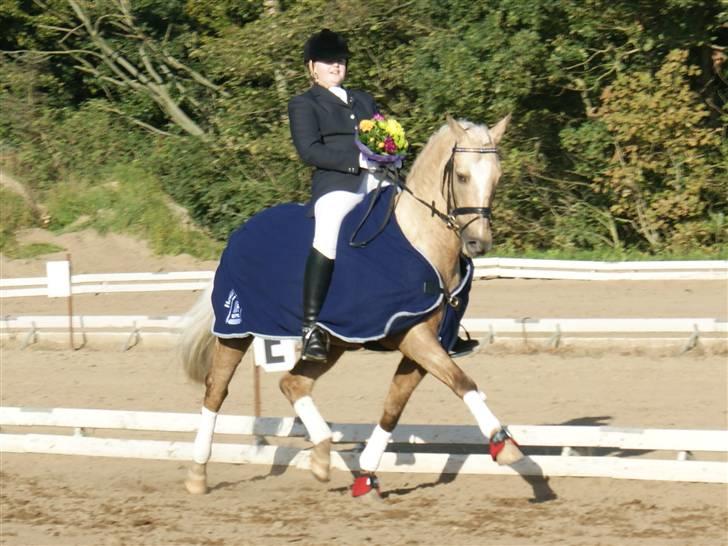 Anden særlig race Natalina*Blondie* - Velkommen til Natalina´s profil:) Mig og Natalina til holdmesterskaberne 08(:  billede 1