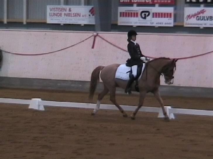 DSP Amie - herning LA 1  billede 12