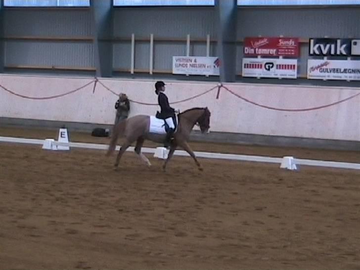 DSP Amie - beautiful Amie  billede 13