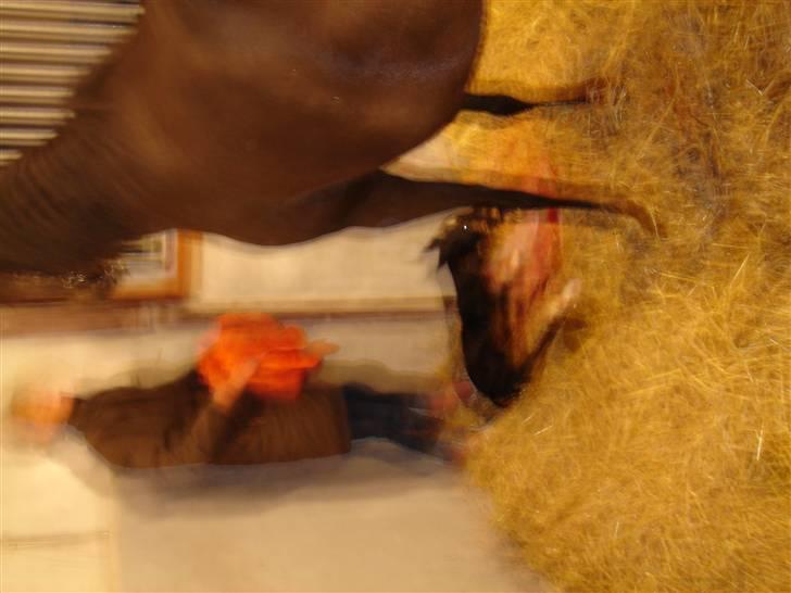 DSP Meinertz Proline solgt billede 6