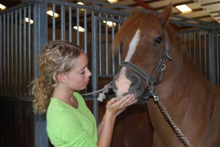 Anden særlig race Low Länder (NU TILBAGE IGEN) billede 8