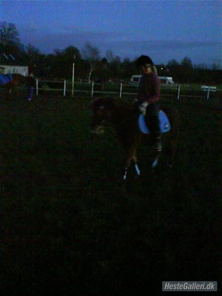 Anden særlig race Æblehavens Dixi wonderboy - <3 billede 8