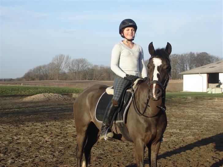 Tysk Sportspony Holsteins Sissi - *Sissi billede 13