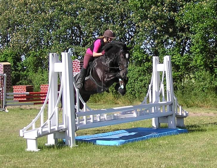 Oldenborg Amadeus - Broen i NVR billede 3