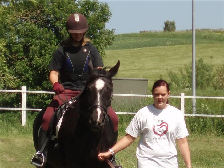 Oldenborg Amadeus billede 7