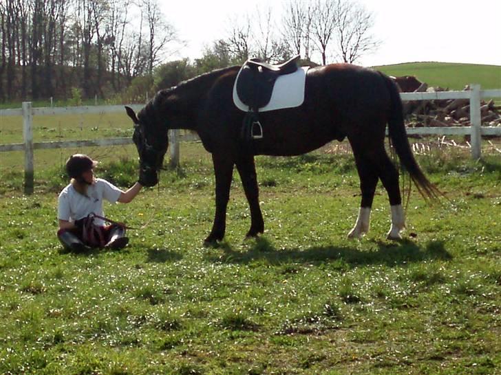 Oldenborg Amadeus billede 9