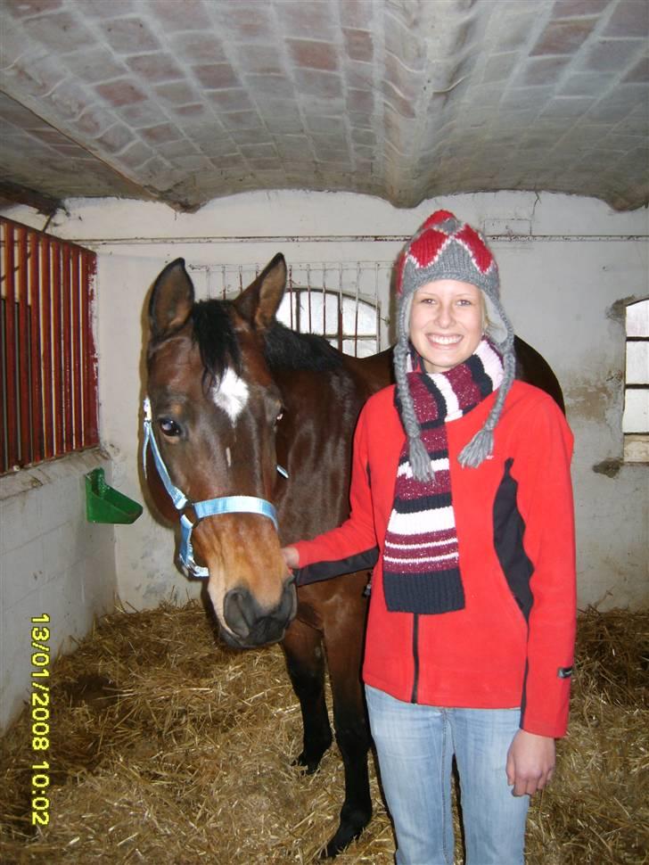 Trakehner Kalla *savnet R.I.P* billede 8