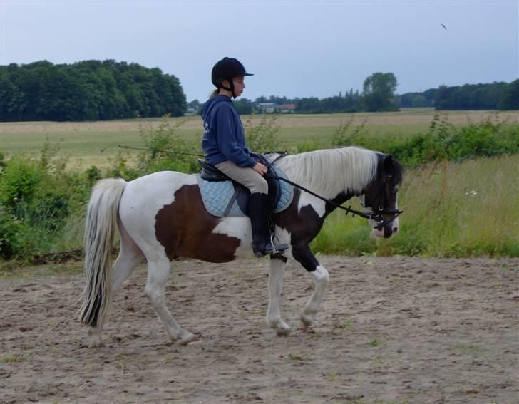 Anden særlig race Pinocchio billede 3