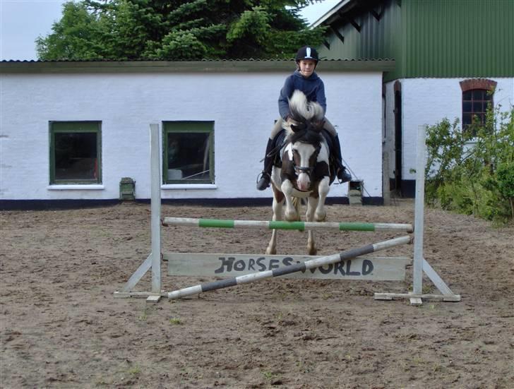 Anden særlig race Pinocchio - Helene og Pinocchio sommer 07 billede 4