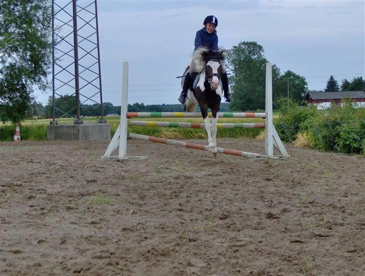 Anden særlig race Pinocchio - Helene og Pinocchio sommer 07 billede 5