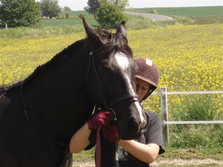 Oldenborg Amadeus billede 11