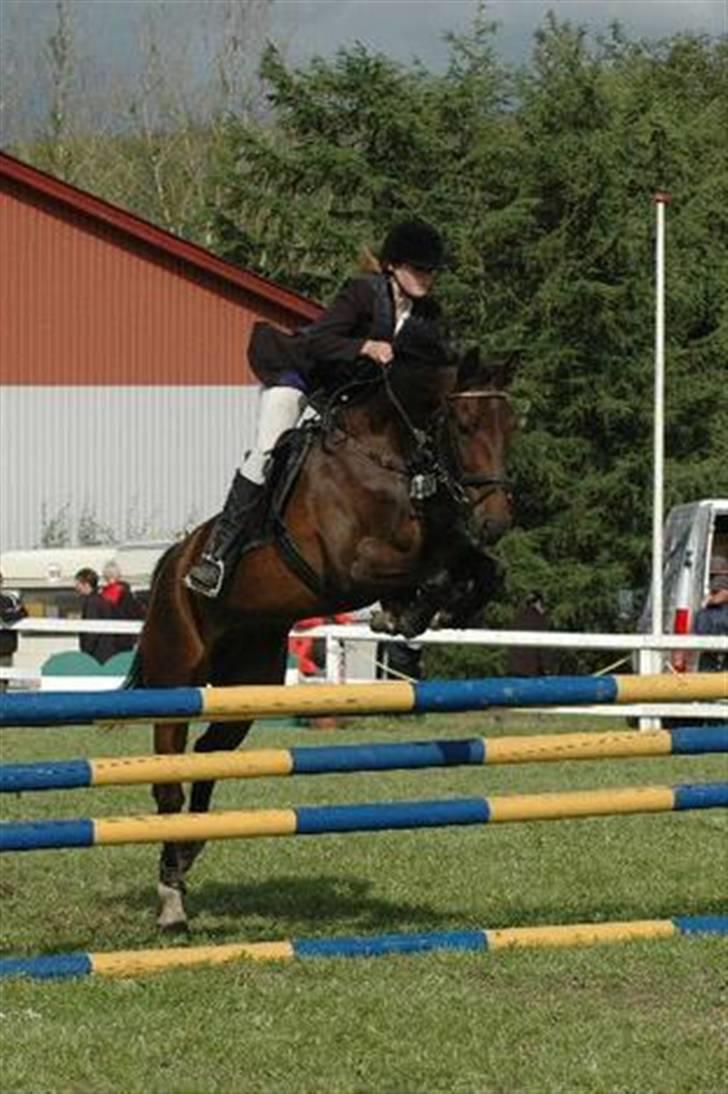 Anden særlig race Oliver billede 2