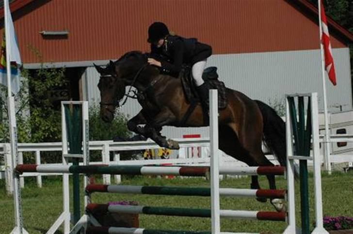 Anden særlig race Oliver billede 3