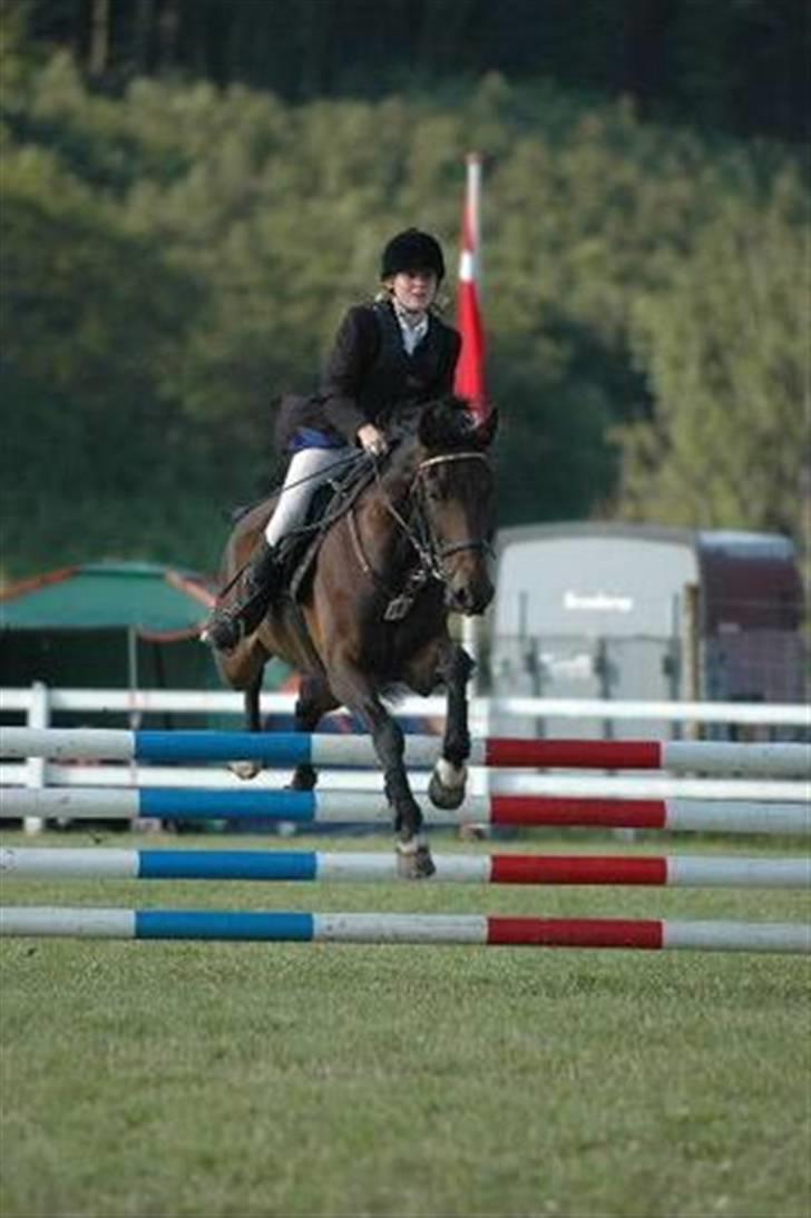 Anden særlig race Oliver billede 4