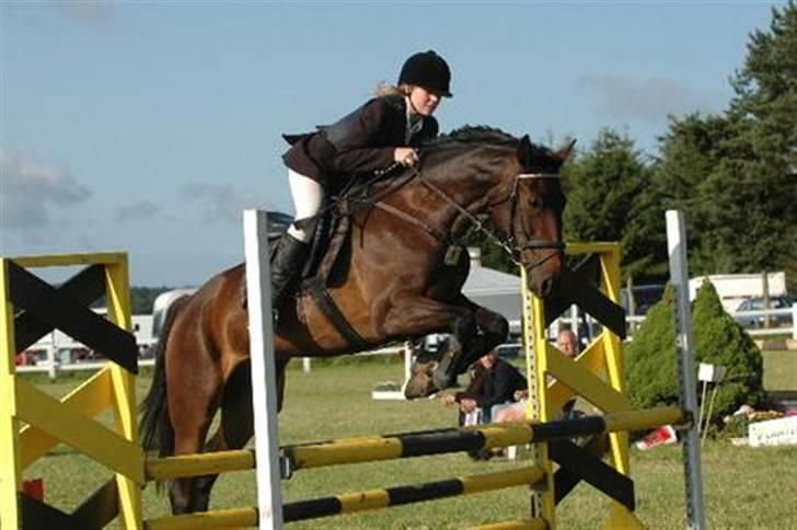 Anden særlig race Oliver billede 5