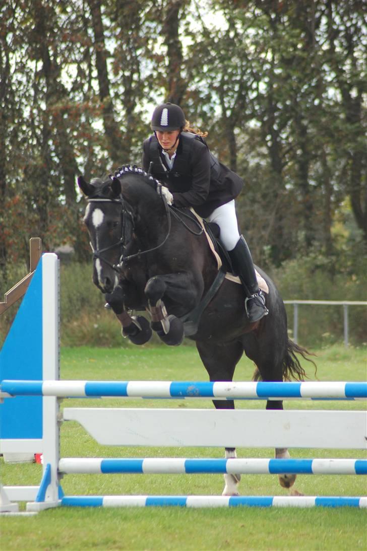 Oldenborg Amadeus - Klubmesterskabet 2009 i NVR billede 16