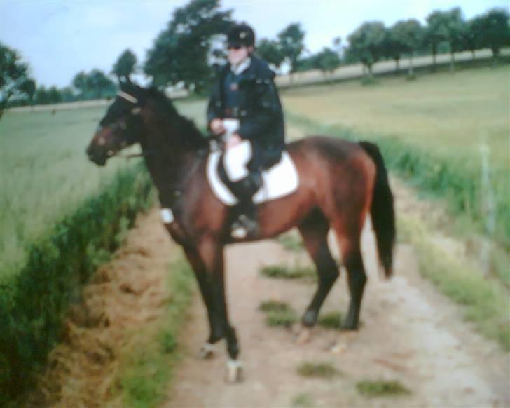 Anden særlig race Oliver billede 11