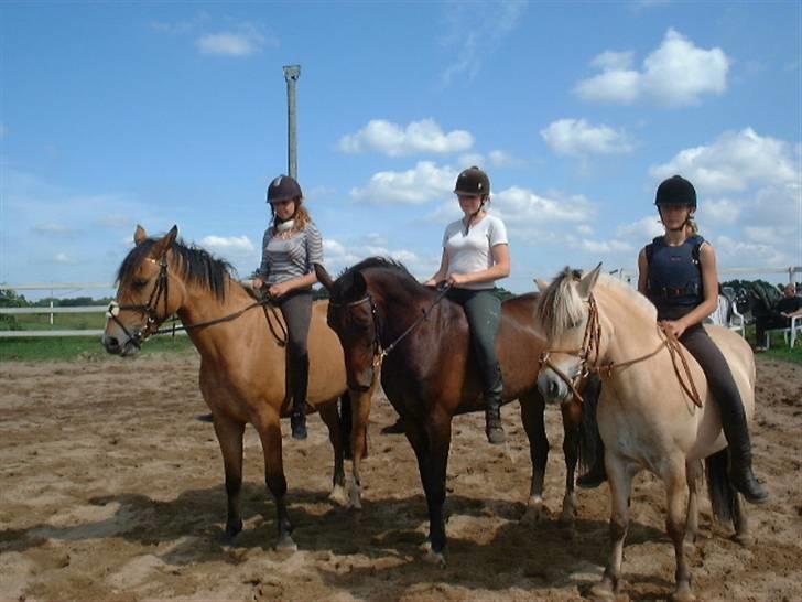 Anden særlig race Oliver billede 15