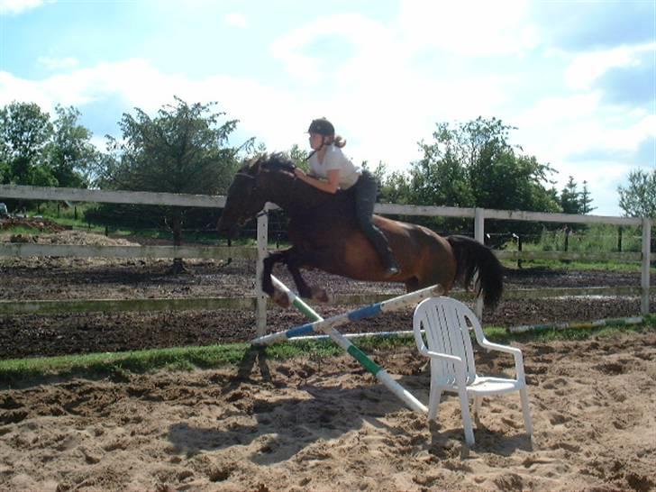 Anden særlig race Oliver billede 18