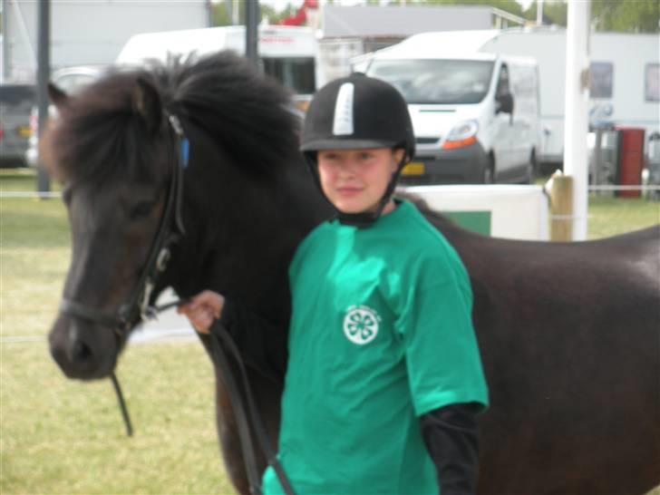 Islænder Skuggi fra risbjerg - Sandra der går med skuggi på roskilde dyrskue 2009 billede 11