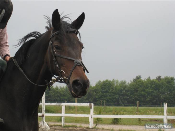 {{currentPhoto.altText}} billede {{currentPhoto.number}}